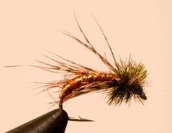 Caddis Emerger