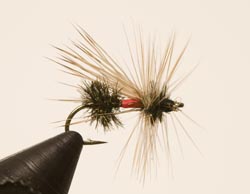 Swiftwater Wet Fly
