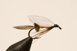 Swiftwater Wet Fly