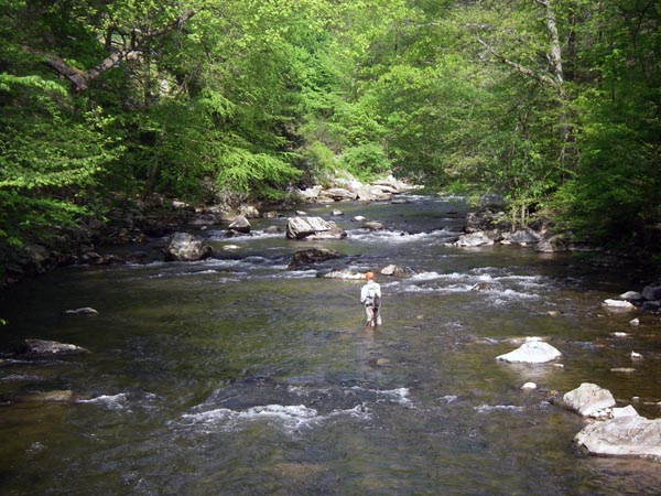 Fishing on the South Branch