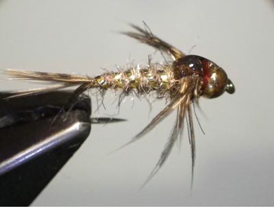 October Caddis Wet