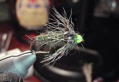 Double Bead Cased Caddis