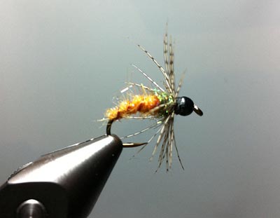 October Caddis Wet