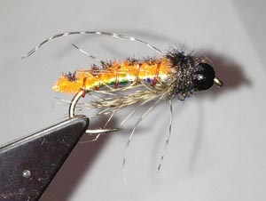 October Caddis