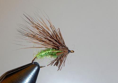 Ausable Caddis