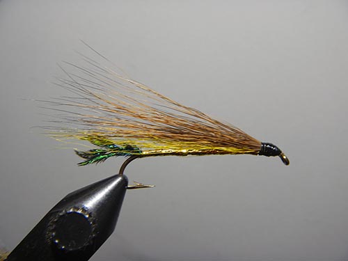 Golden Catskill Streamer