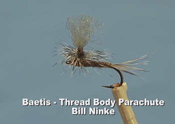 Thread Bodied Parachute
