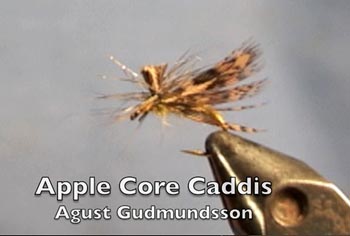 Apple Core Caddis