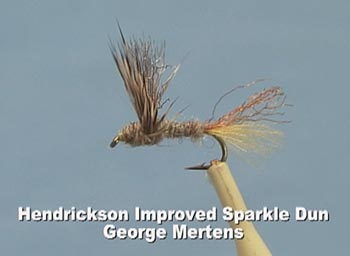 Improved Sparkle Dun