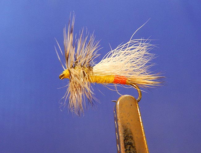 Little Yellow Stonefly