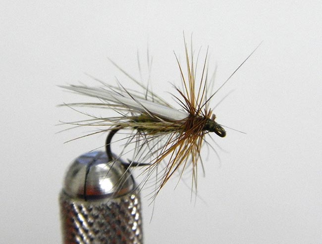 Penn_Caddis_Dry