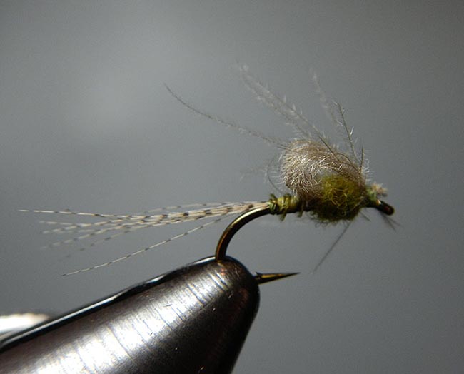BWO Emerger