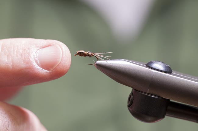 Fly Tying at Sparse Grey Matter