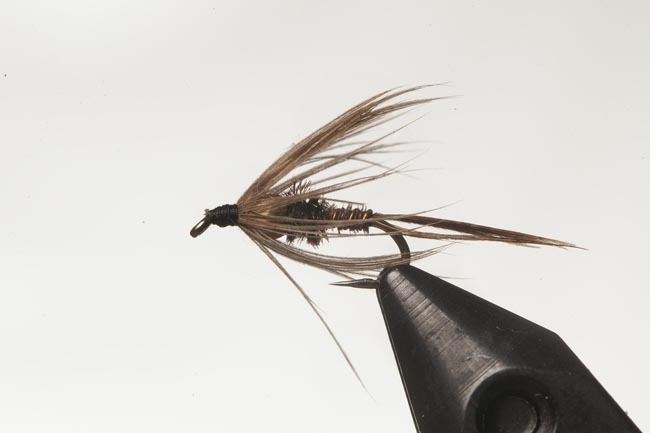 BHSH Pheasant Tail