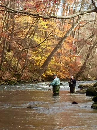 Musky Streamwalk