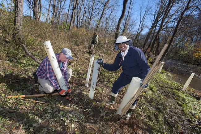 "A" Frame Planting