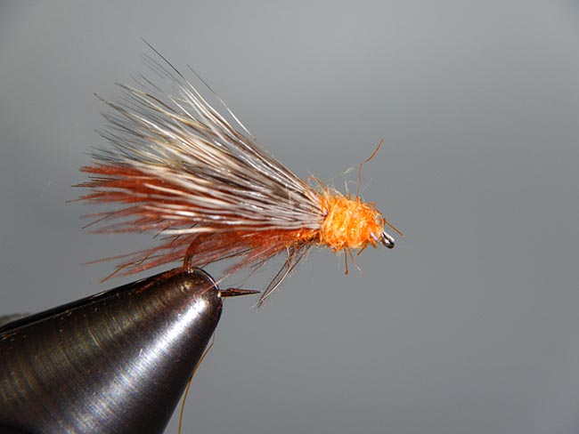 October Caddis