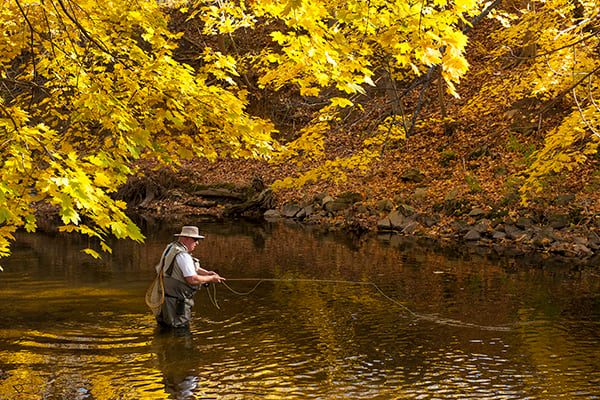Fly Fisherman of the Year