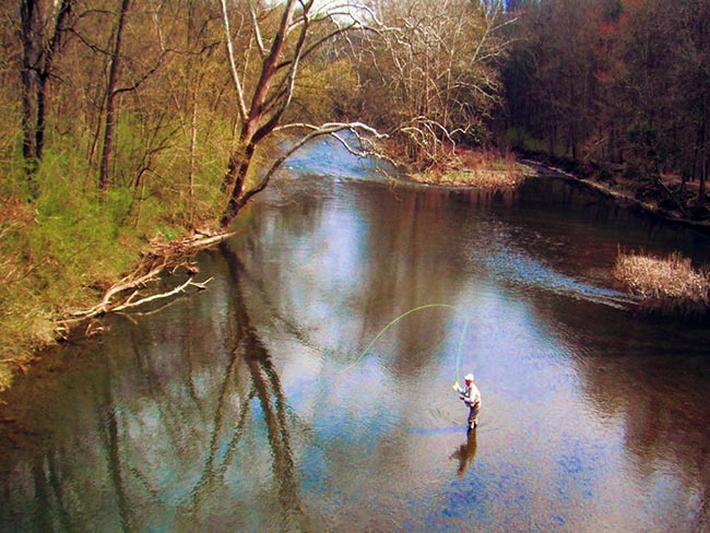 PembertonBridgePool